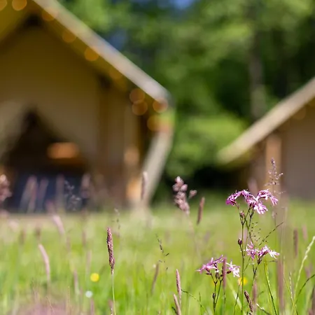 Januszowka - Ranczo Turystyczne אוהל מפואר *