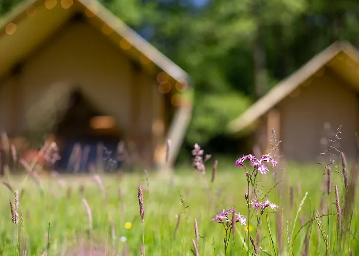 Januszówka - Ranczo Turystyczne Campo de lujo *